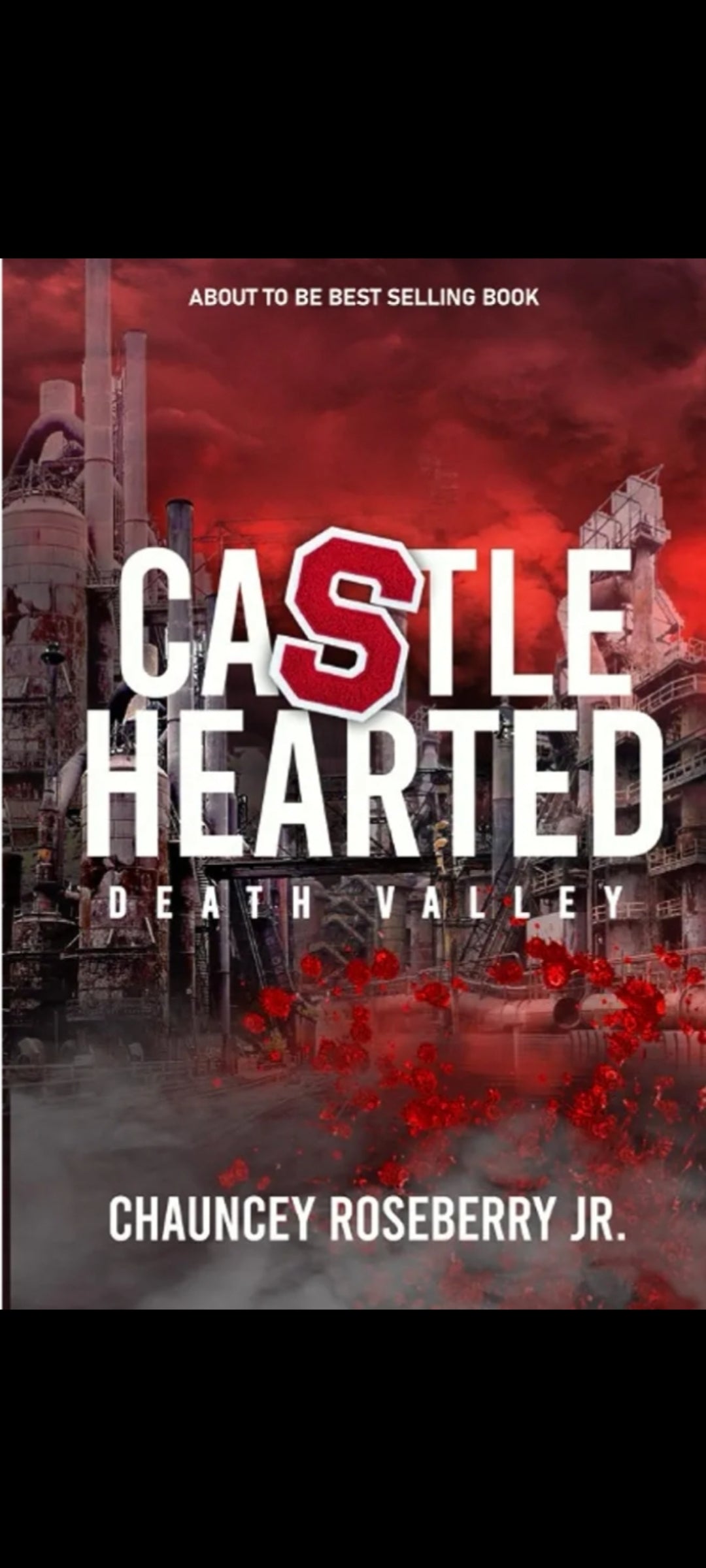 Book + Tshirt Package